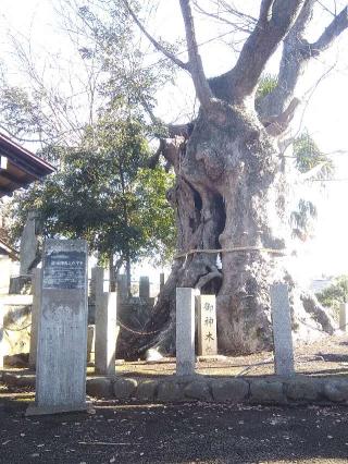 蓑笠神社の参拝記録(愛しい風さん)