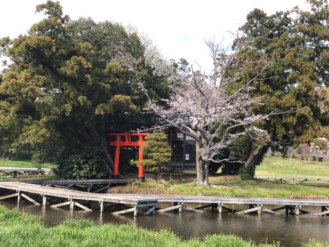 神奈川県足柄上郡中井町井ﾉ口1310 厳島神社の写真1