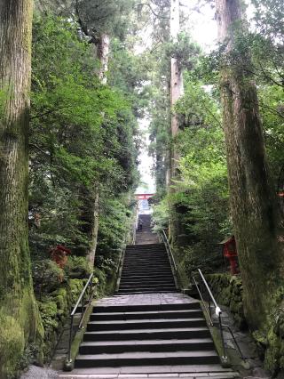 箱根神社の参拝記録(じゃすてぃさん)