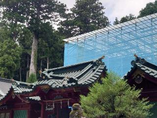 箱根神社の参拝記録(🐺⛩️🐺さん)