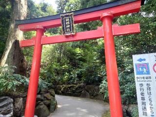 箱根神社の参拝記録(🐺⛩️🐺さん)