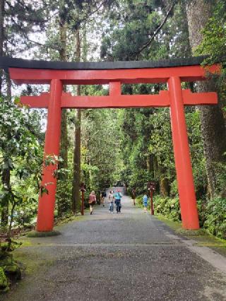 箱根神社の参拝記録(ルルさん)