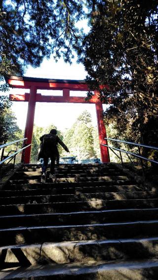 箱根神社の参拝記録(のとゆささん)