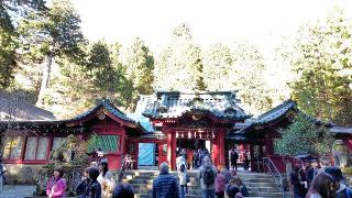箱根神社の参拝記録(のとゆささん)