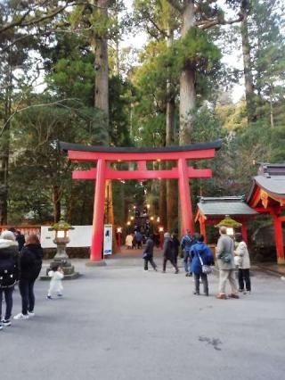 箱根神社の参拝記録(達也さん)