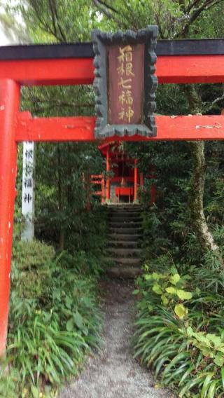 箱根神社の参拝記録(メンコさん)
