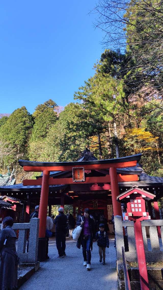 九頭龍神社 新宮（箱根神社摂社）の参拝記録5