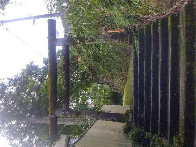 宮ノ下箱根神社の参拝記録6