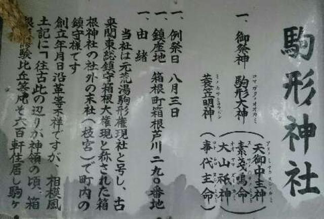 神奈川県足柄下郡箱根町箱根290 駒形神社（箱根神社末社）の写真7