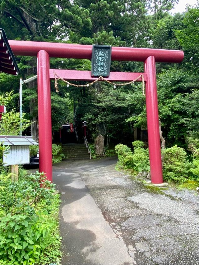 駒形神社（箱根神社末社）の参拝記録8