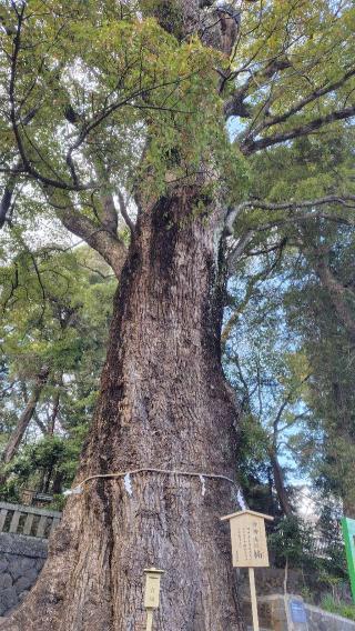 五所神社の参拝記録(神社ノフさん)