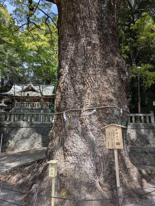 五所神社の参拝記録(BakaUminekoさん)