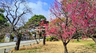 白山神社の参拝記録(オトギリルさん)