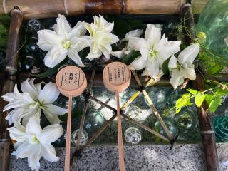 五泉八幡宮の参拝記録(忍さん)