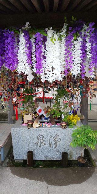 五泉八幡宮の参拝記録(パスカルさん)