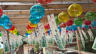 五泉八幡宮の参拝記録(あさこさん)