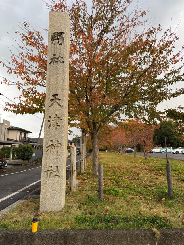 天津神社（天津神社・奴奈川神社）の参拝記録6