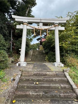 天津神社（天津神社・奴奈川神社）の参拝記録(こーちんさん)