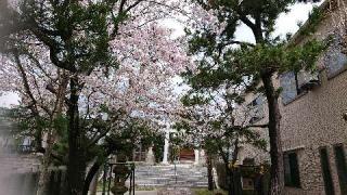 石井神社(西本町)の参拝記録(ゆきりさん)