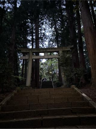 斐太神社の参拝記録(とっしーさん)