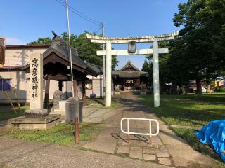 高彦根神社の参拝記録(笹だんごさん)