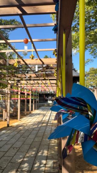 金峯神社の参拝記録(あさこさん)