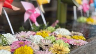 金峯神社の参拝記録(あさこさん)