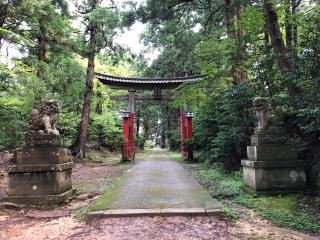 牛尾神社の参拝記録(笹だんごさん)