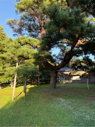 真野宮の参拝記録(⛩️🎠🐢まめ🐢🎠⛩️さん)