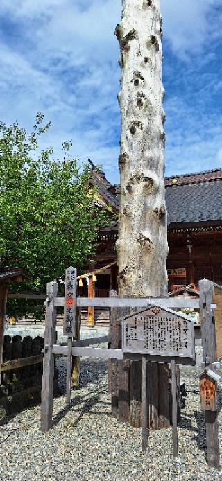 諏訪神社（新発田総鎮守）の参拝記録(ノリさん)