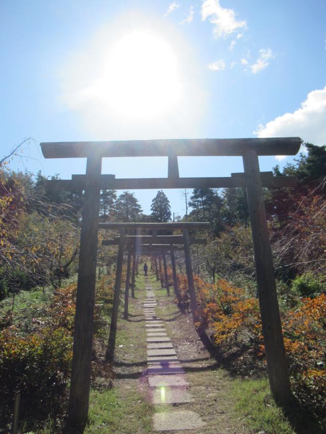 湯神社（彌彦神社末社）の参拝記録7