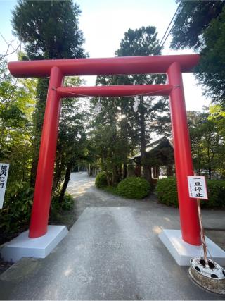 日枝神社（山王さん）の参拝記録(こうさん)