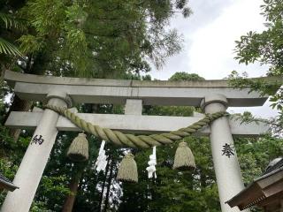 杉原神社の参拝記録(うききさん)