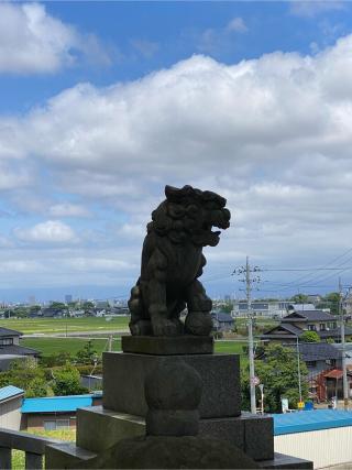 熊野神社(友坂)の参拝記録(ホリィさん)