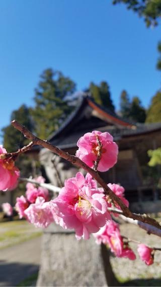 二上射水神社の参拝記録(®️さん)