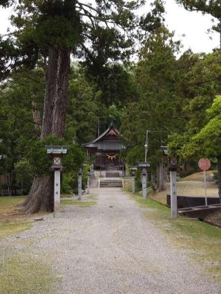 二上射水神社の参拝記録(ペドロ蟲さん)