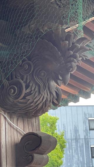 高岡關野神社の参拝記録(マコトさん)