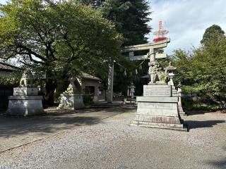 八心大市比古神社の参拝記録(二代目無宿さん)