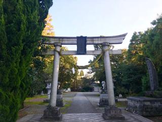 八心大市比古神社の参拝記録(じゃすてぃさん)