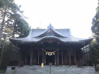 八心大市比古神社の参拝記録(じゃすてぃさん)