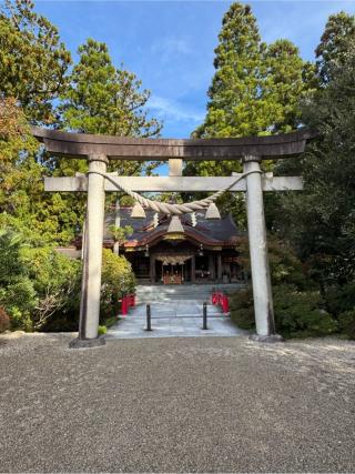 高瀬神社の参拝記録(こーちんさん)