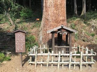大中寺の参拝記録(きーちゃんさん)