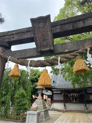 安江八幡宮の参拝記録(⛩️🐍🐢まめ🐢🐍⛩️さん)