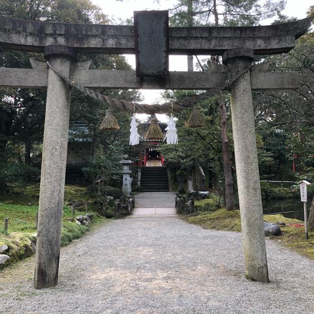 金澤神社の参拝記録(よしゆきさん)