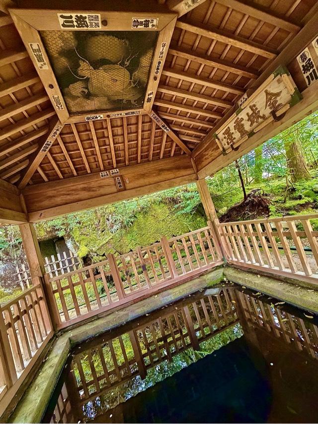 金澤神社の参拝記録9