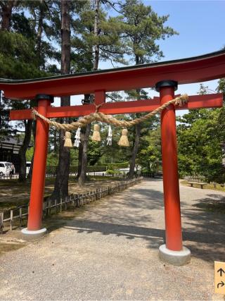 金澤神社の参拝記録(⛩️🐍🐢まめ🐢🐍⛩️さん)
