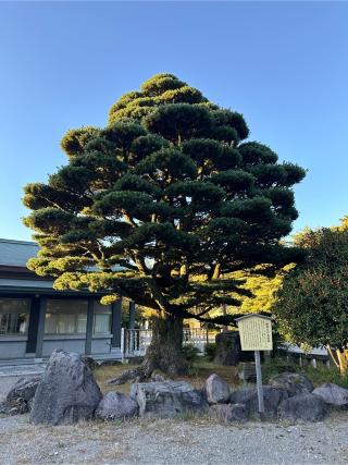 石川護國神社(石川護国神社)の参拝記録(笹だんごさん)