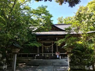 大野湊神社の参拝記録(じゃすてぃさん)