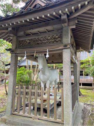 大野湊神社の参拝記録(⛩️🐍🐢まめ🐢🐍⛩️さん)