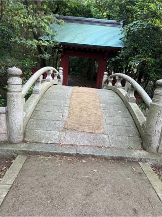 大野湊神社の参拝記録(⛩️🐍🐢まめ🐢🐍⛩️さん)
